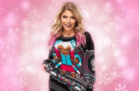 WWE HOLIDAY SWEATSHIRT GIVEAWAY 2020 T&C’s (the “Promotion”)