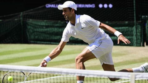 ATP Finals: Novak Djokovic profile