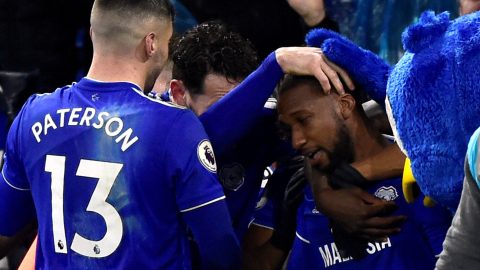 Cardiff City 2-1 Wolves: Junior Hoilett stunner takes hosts out of bottom three