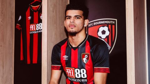 Dominic Solanke: Bournemouth sign striker from Liverpool in £19m deal