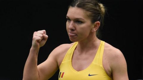 Fed Cup 2019: Halep and Pliskova win opening Fed Cup rubbers