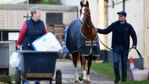 Equine flu: British horse racing to resume after shutdown over virus