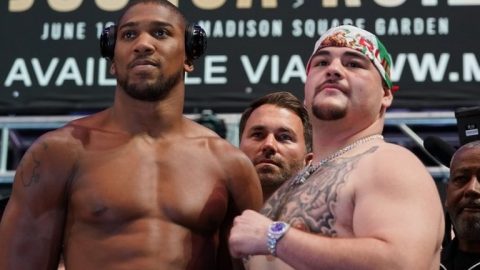 Anthony Joshua v Andy Ruiz Jr fight preview: Why Briton cannot really win in New York