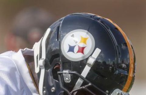 Farm Hand; Blue-collar roots shape Steelers WR Washington