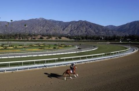 Feinstein joins call for Santa Anita to suspend racing