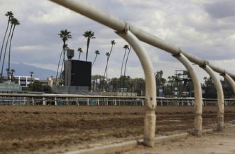 Horse dies after training track incident at Santa Anita