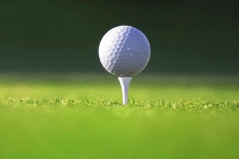 Golf grappler: Man arrested after on-course attack