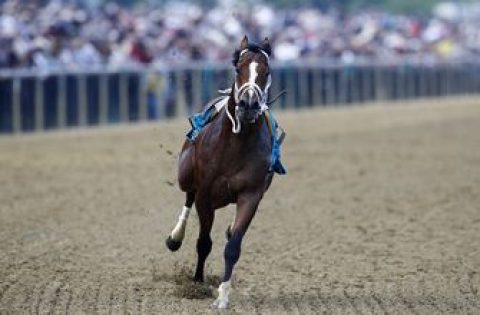 Horsing around: Riderless colt races to Preakness finish