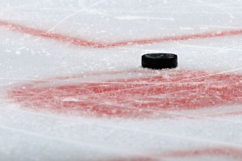 NHL adopts 24-team playoff if season resumes
