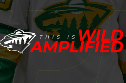 Wild Amplified: 20th anniversary patch