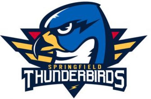 Blues’ new Springfield affiliate opts out of 2020-21 AHL season