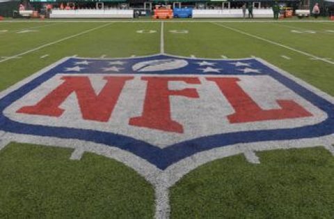 NFL owners delay decision on 17-game regular season