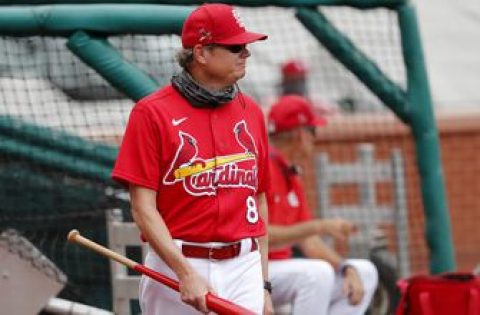 Cardinals lose Johnson City affiliate as Appalachian League converts to college summer circuit