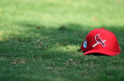 Cardinals announce 15 international free agent signings