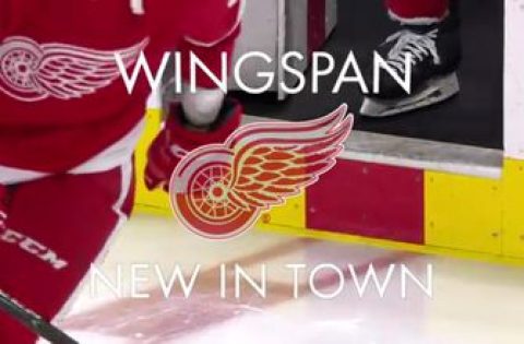 Wingspan: New in Town (VIDEOS)
