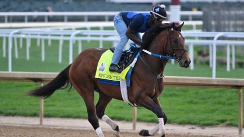 Betting guide for the 2022 Preakness Stakes