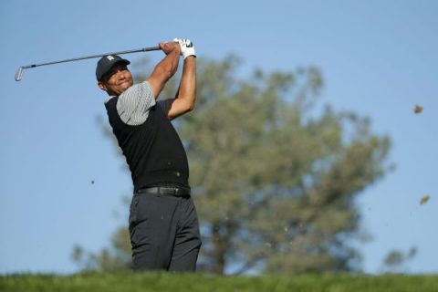 Tiger makes cut but fails to make move up board