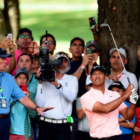 Tiger makes move in Mexico with 66 in Round 2