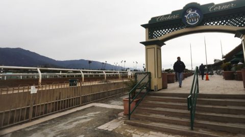 22nd horse suffers fatal injuries at Santa Anita