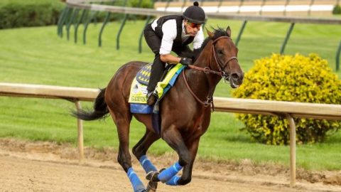 2019 Kentucky Derby preview: With Omaha Beach out, field is wide open