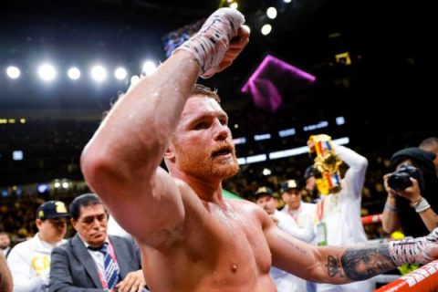 Canelo loses IBF 160-lb. title after no Sergiy deal