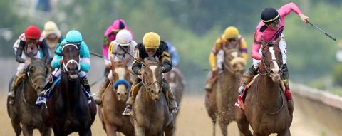 ‘The horse deserved it’: War of Will’s Preakness win is Derby redemption