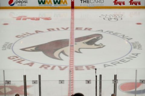 Coyotes renounce rights to controversial pick