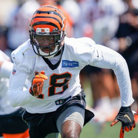 Bengals WR Green likely to miss multiple games