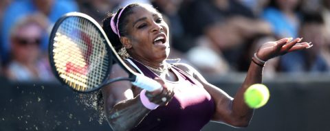Serena, Pliskova, Djokovic make compelling statements in Aussie tune-ups