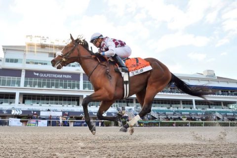 Tiz the Law wins Fla. Derby before empty stands