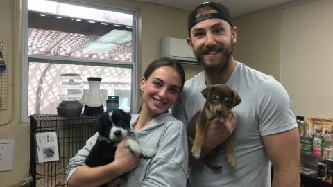 The best NHL coronavirus pause trend? Players adding dogs to the family