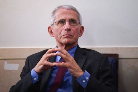 Fauci: Sports return quickly only if fans prohibited