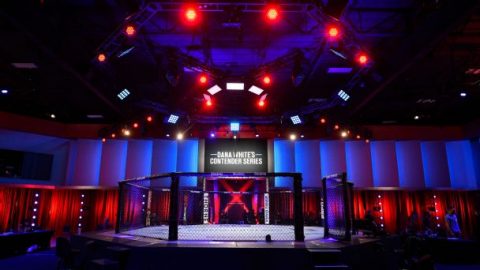 ‘It’s a real problem’: How the combat sports pipeline broke in 2020
