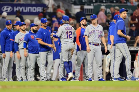 A fans guide to abiding the LOL Mets