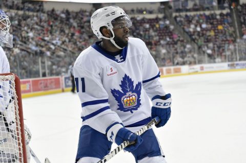 ECHL player released after racist taunt at Subban