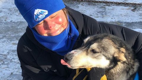 The astonishing second survival story of an Iditarod rookie attacked by a moose