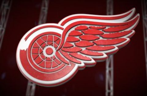 Red Wings release 2020-21 season schedule