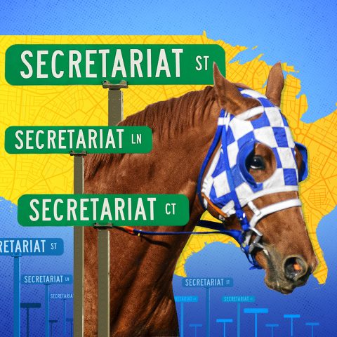 Wait, Secretariat has 263 U.S. roads named after him?!