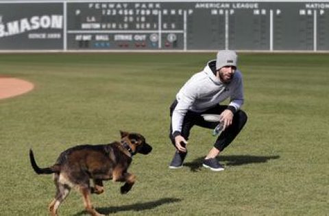 <div>World Series Bark Park: Porcello’s pup romps around Fenway</div>